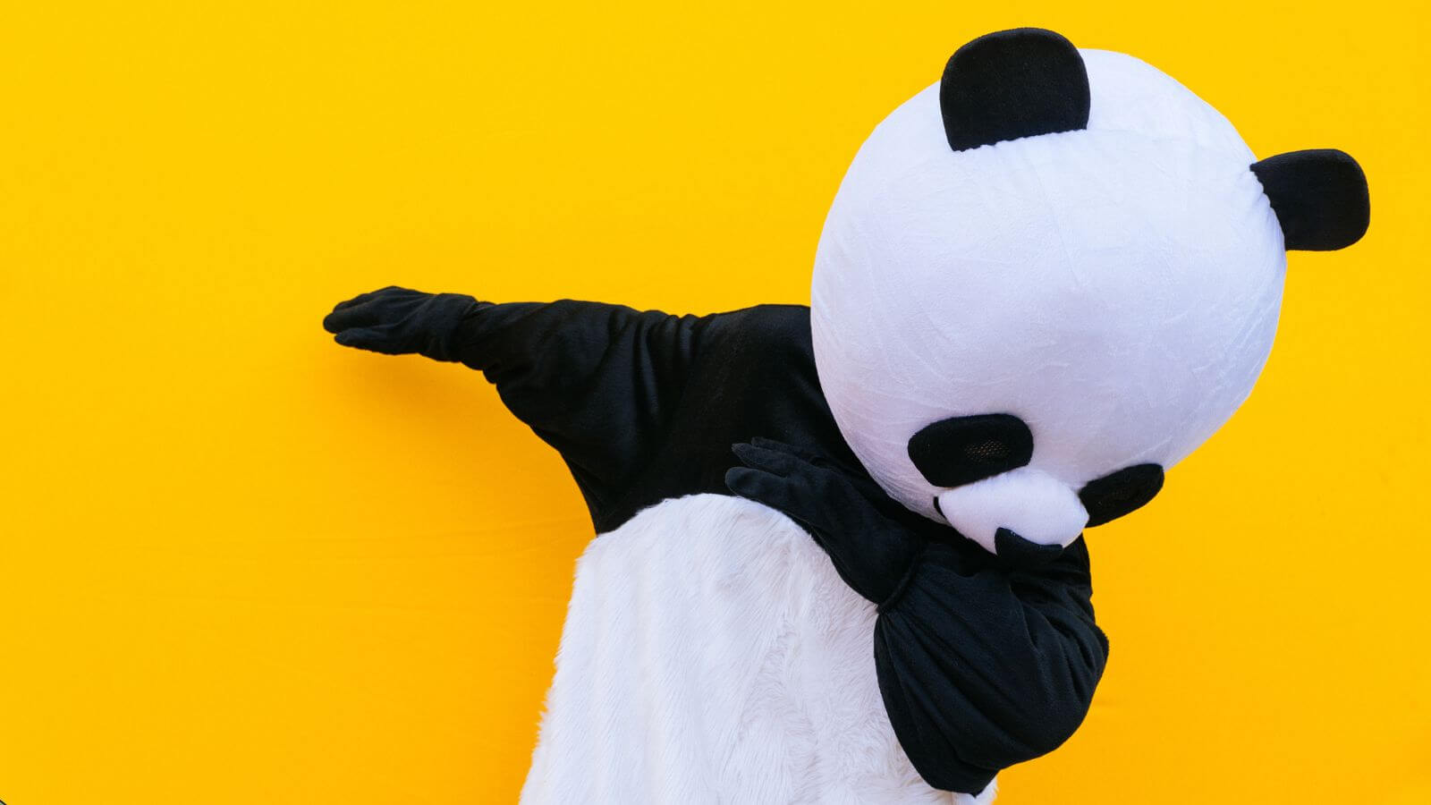 Location de costumes de mascottes sur la rive-nord et a montreal
